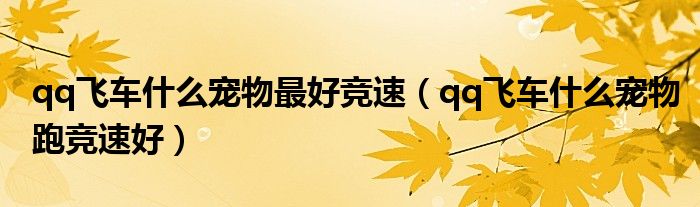 qq飛車什么寵物最好競速（qq飛車什么寵物跑競速好）
