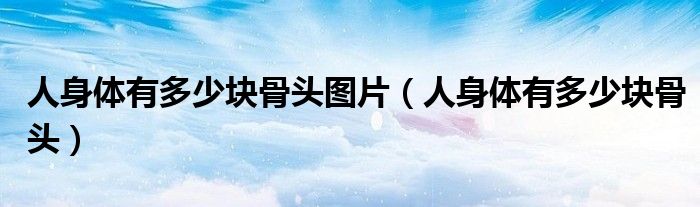 人身體有多少塊骨頭圖片（人身體有多少塊骨頭）