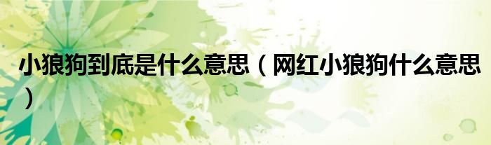 小狼狗到底是什么意思（網(wǎng)紅小狼狗什么意思）