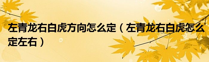 左青龍右白虎方向怎么定（左青龍右白虎怎么定左右）