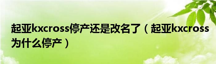 起亞kxcross停產(chǎn)還是改名了（起亞kxcross為什么停產(chǎn)）