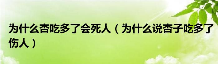 為什么杏吃多了會(huì)死人（為什么說杏子吃多了傷人）