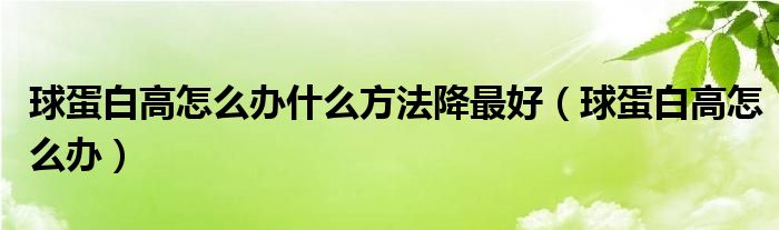球蛋白高怎么辦什么方法降最好（球蛋白高怎么辦）