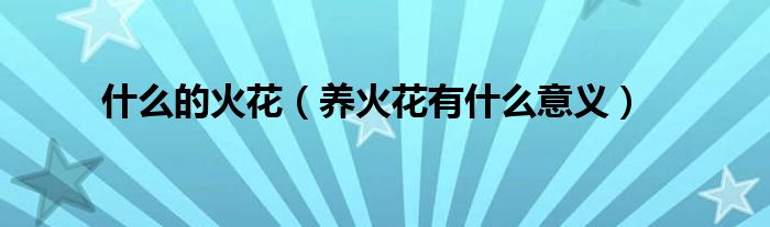 什么的火花（養(yǎng)火花有什么意義）