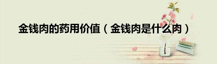 金錢肉的藥用價值（金錢肉是什么肉）