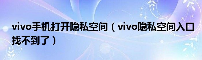 vivo手機(jī)打開隱私空間（vivo隱私空間入口找不到了）
