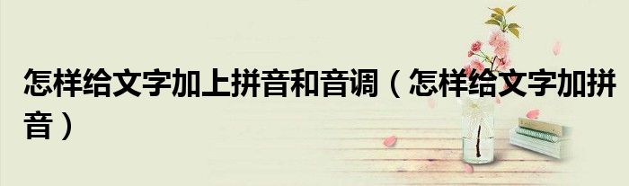 怎樣給文字加上拼音和音調(diào)（怎樣給文字加拼音）