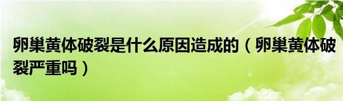 卵巢黃體破裂是什么原因造成的（卵巢黃體破裂嚴(yán)重嗎）