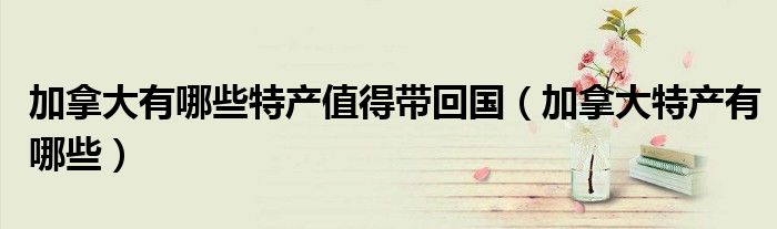 加拿大有哪些特產值得帶回國（加拿大特產有哪些）