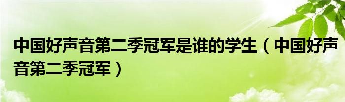 中國好聲音第二季冠軍是誰的學(xué)生（中國好聲音第二季冠軍）