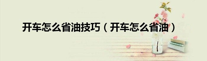 開車怎么省油技巧（開車怎么省油）