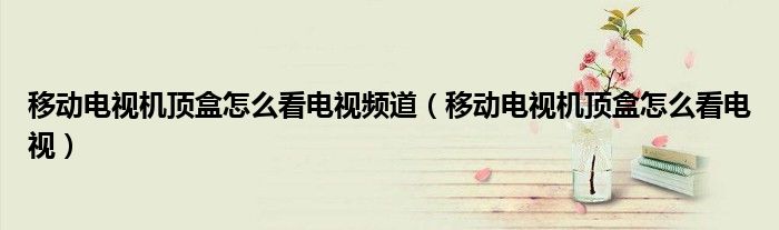 移動電視機頂盒怎么看電視頻道（移動電視機頂盒怎么看電視）
