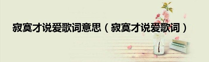 寂寞才說愛歌詞意思（寂寞才說愛歌詞）