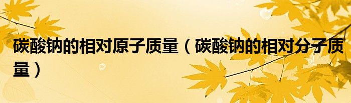 碳酸鈉的相對(duì)原子質(zhì)量（碳酸鈉的相對(duì)分子質(zhì)量）