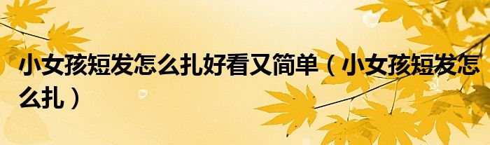 小女孩短發(fā)怎么扎好看又簡(jiǎn)單（小女孩短發(fā)怎么扎）