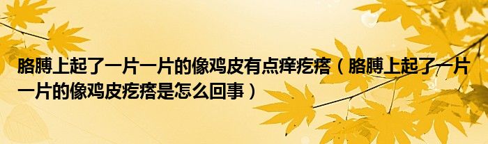 胳膊上起了一片一片的像雞皮有點癢疙瘩（胳膊上起了一片一片的像雞皮疙瘩是怎么回事）