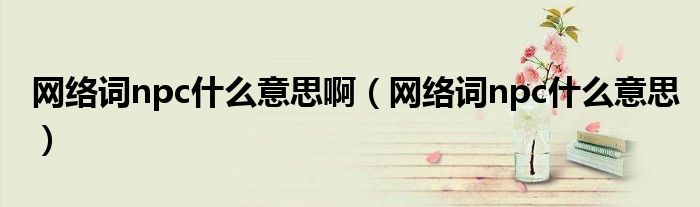 網(wǎng)絡(luò)詞npc什么意思?。ňW(wǎng)絡(luò)詞npc什么意思）