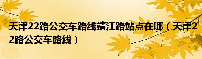 天津22路公交車路線靖江路站點在哪（天津22路公交車路線）