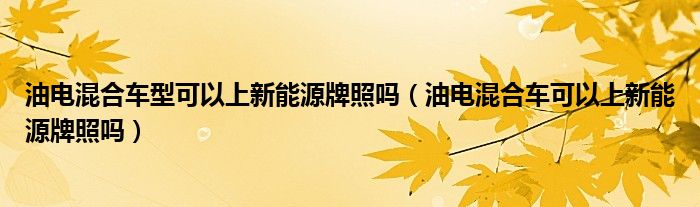 油電混合車型可以上新能源牌照嗎（油電混合車可以上新能源牌照嗎）