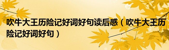 吹牛大王歷險記好詞好句讀后感（吹牛大王歷險記好詞好句）