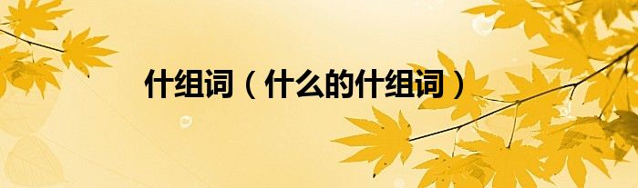 什組詞（什么的什組詞）