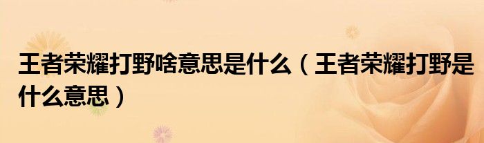 王者榮耀打野啥意思是什么（王者榮耀打野是什么意思）