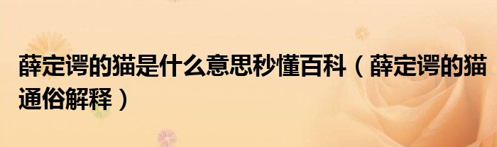 薛定諤的貓是什么意思秒懂百科（薛定諤的貓通俗解釋）