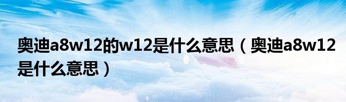 奧迪a8w12的w12是什么意思（奧迪a8w12是什么意思）