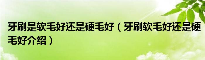 牙刷是軟毛好還是硬毛好（牙刷軟毛好還是硬毛好介紹）