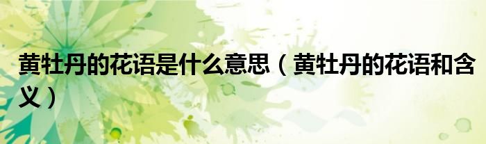 黃牡丹的花語是什么意思（黃牡丹的花語和含義）