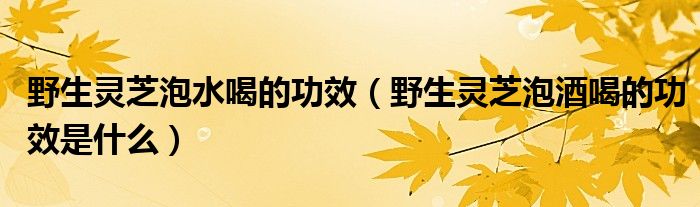 野生靈芝泡水喝的功效（野生靈芝泡酒喝的功效是什么）