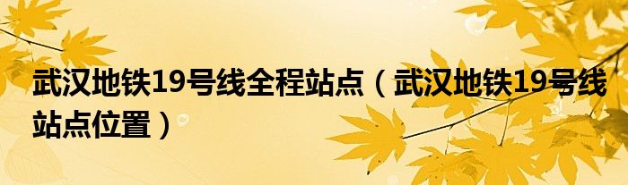 武漢地鐵19號線全程站點（武漢地鐵19號線站點位置）