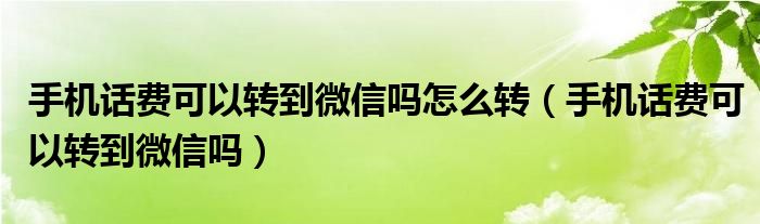 手機(jī)話費(fèi)可以轉(zhuǎn)到微信嗎怎么轉(zhuǎn)（手機(jī)話費(fèi)可以轉(zhuǎn)到微信嗎）