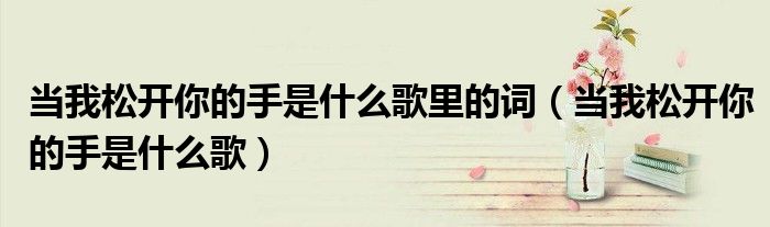 當(dāng)我松開你的手是什么歌里的詞（當(dāng)我松開你的手是什么歌）