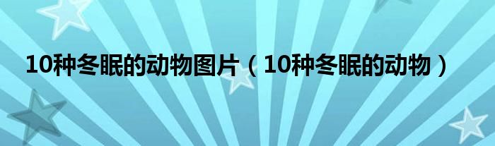 10種冬眠的動物圖片（10種冬眠的動物）