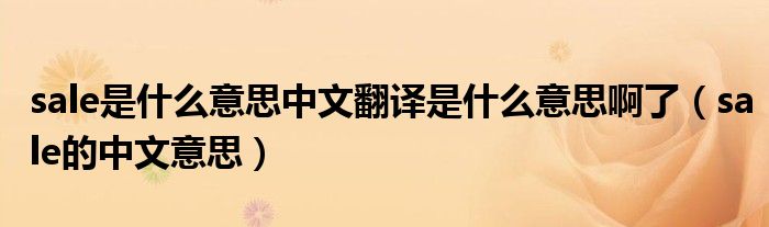 sale是什么意思中文翻譯是什么意思啊了（sale的中文意思）