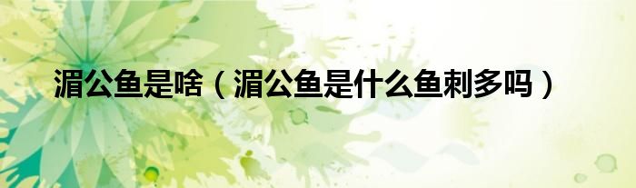 湄公魚是啥（湄公魚是什么魚刺多嗎）