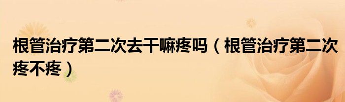 根管治療第二次去干嘛疼嗎（根管治療第二次疼不疼）
