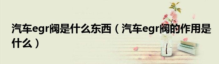 汽車egr閥是什么東西（汽車egr閥的作用是什么）