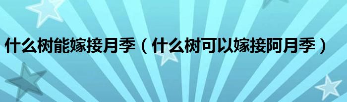 什么樹能嫁接月季（什么樹可以嫁接阿月季）