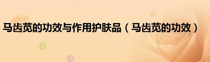 馬齒莧的功效與作用護膚品（馬齒莧的功效）
