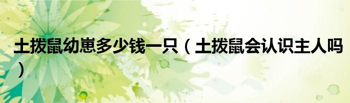 土撥鼠幼崽多少錢一只（土撥鼠會認(rèn)識主人嗎）