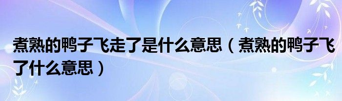 煮熟的鴨子飛走了是什么意思（煮熟的鴨子飛了什么意思）