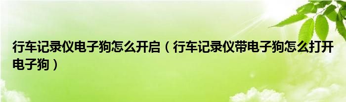 行車記錄儀電子狗怎么開啟（行車記錄儀帶電子狗怎么打開電子狗）