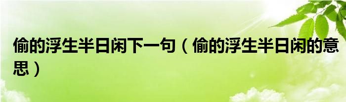 偷的浮生半日閑下一句（偷的浮生半日閑的意思）