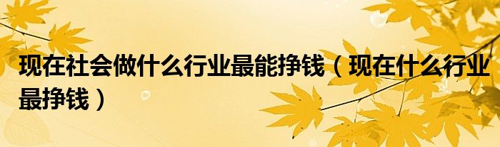 現(xiàn)在社會(huì)做什么行業(yè)最能掙錢(qián)（現(xiàn)在什么行業(yè)最掙錢(qián)）