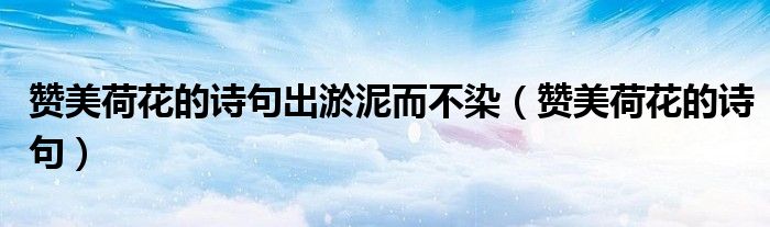 贊美荷花的詩句出淤泥而不染（贊美荷花的詩句）