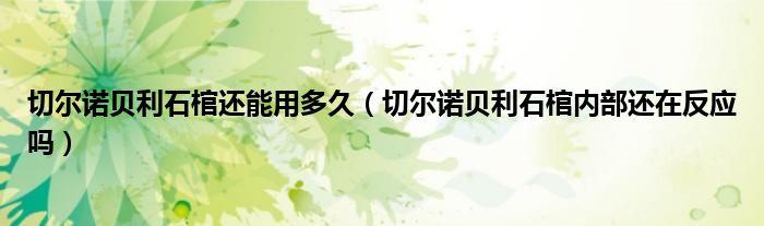 切爾諾貝利石棺還能用多久（切爾諾貝利石棺內(nèi)部還在反應(yīng)嗎）