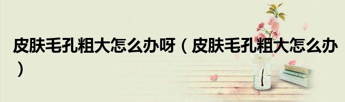 皮膚毛孔粗大怎么辦呀（皮膚毛孔粗大怎么辦）