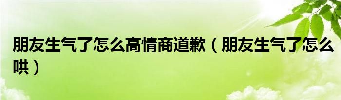 朋友生氣了怎么高情商道歉（朋友生氣了怎么哄）